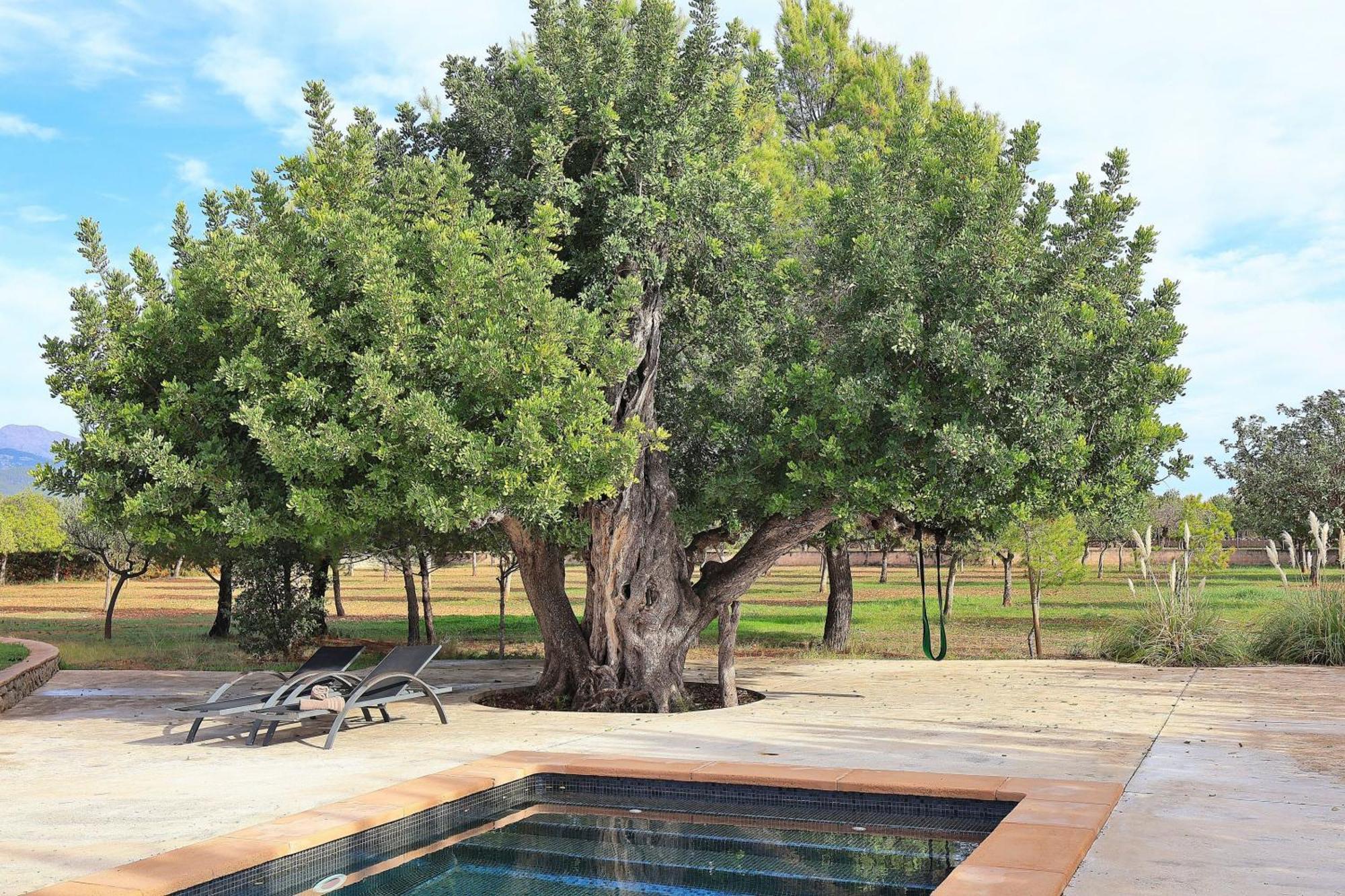 151 Villa Es Triquet Et3366 By Mallorca Charme ビニサレム エクステリア 写真